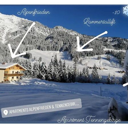 Apartment Tennengebirge Sankt Martin am Tennengebirge Exterior photo